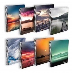 CUAD 16X21 AMERICA...